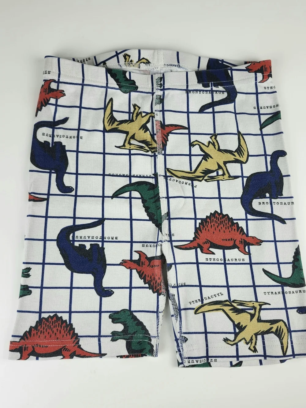 Hanna Andersson Pajama Set with Red Green Blue Yellow Dinosaurs